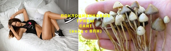 спайс Алзамай