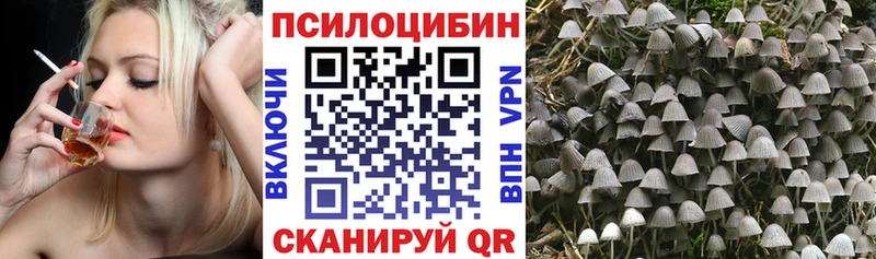 Псилоцибиновые грибы Magic Shrooms  Сунжа 